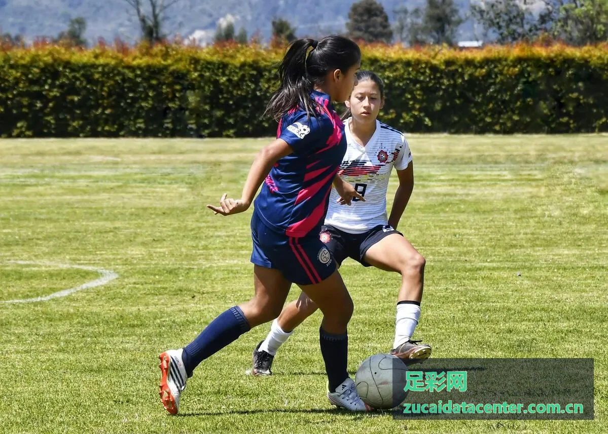 足彩网赛事数据战术分析面板